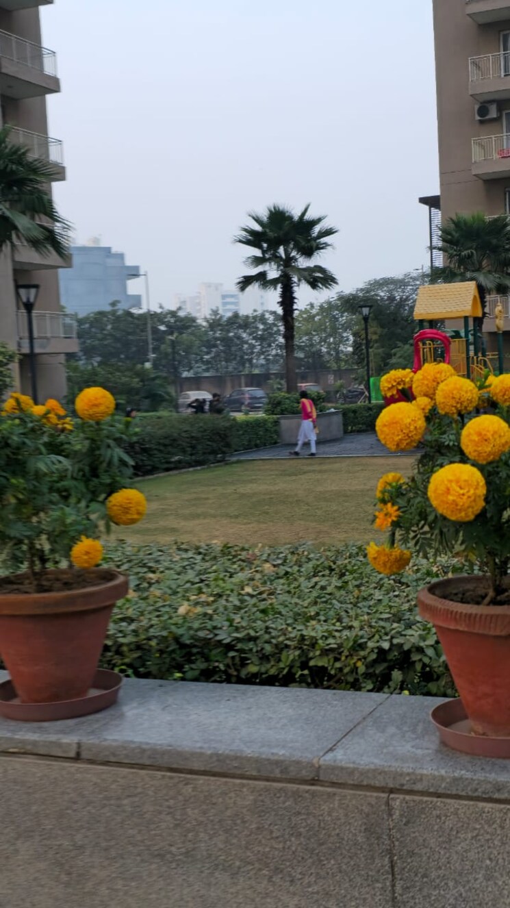 Garden, m3m-escala 2 Bedroom 1475 Sq.Ft. Apartment In Sector 70a Gurgaon 8335448