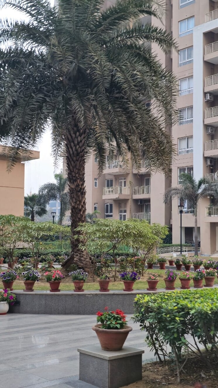 Exterior View, m3m-escala 2 Bedroom 1475 Sq.Ft. Apartment In Sector 70a Gurgaon 8335448