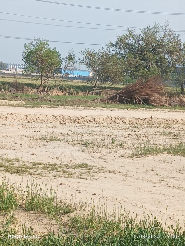 undefined, asoati  4840 Sq.Ft. Plot In Asoati Palwal 8335589