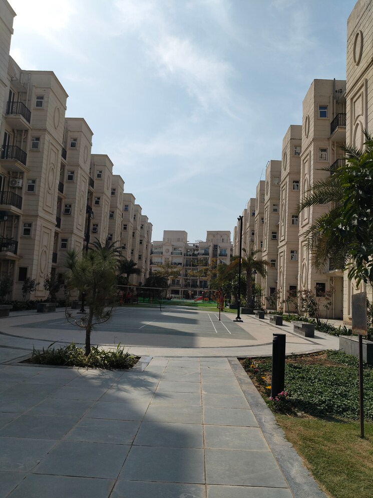 Exterior View, signature-global-park-4-and-5 3 Bedroom 1120 Sq.Ft. Builder Floor In Sohna Sector 36 Gurgaon 8335852