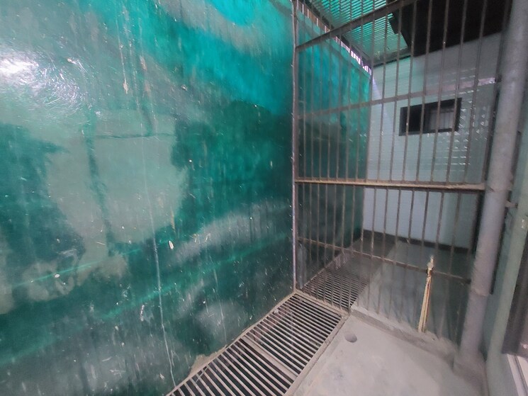 Nearby, rana pratap bagh 3 Bedroom 150 Sq.Yd. Builder Floor In Rana Pratap Bagh Delhi 8335920