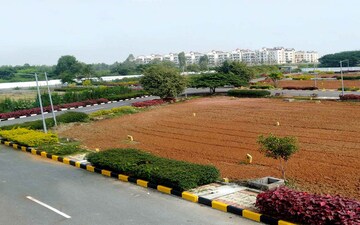 Plot For Sale in Sector 75
