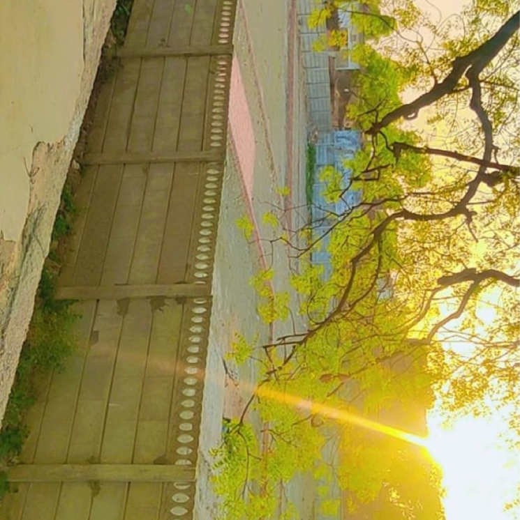 Exterior View, gosainganj  1500 Sq.Ft. Plot In Gosainganj Lucknow 8337561