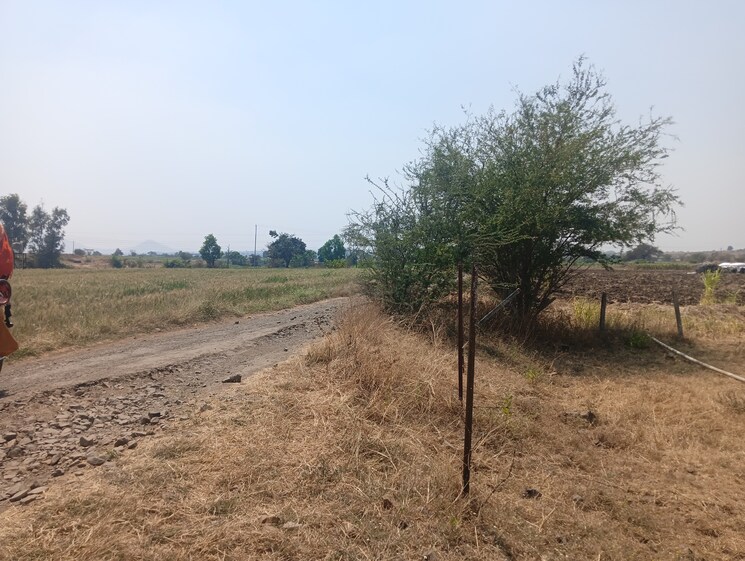 undefined, peth road  5 Acre Plot In Peth Road Nashik 8337584