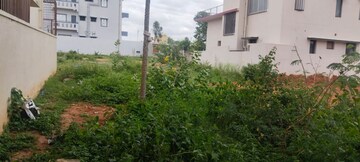 Plot Area in  Plot at Chikkagubbi Village – for Sale