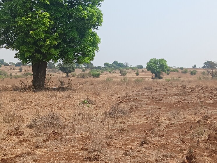 undefined, peth road  15 Acre Plot In Peth Road Nashik 8337669