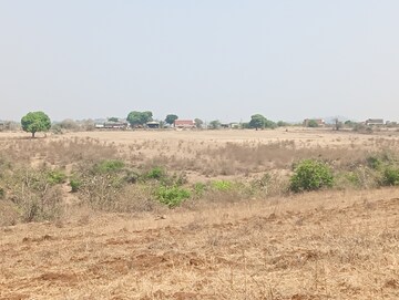 Plot Area in  Plot at Peth Road – for Sale