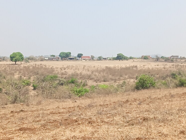 undefined, peth road  15 Acre Plot In Peth Road Nashik 8337669