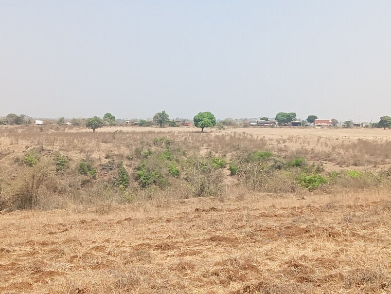 undefined, peth road  15 Acre Plot In Peth Road Nashik 8337669