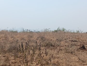 Plot Area in  Plot at Peth Road – for Sale