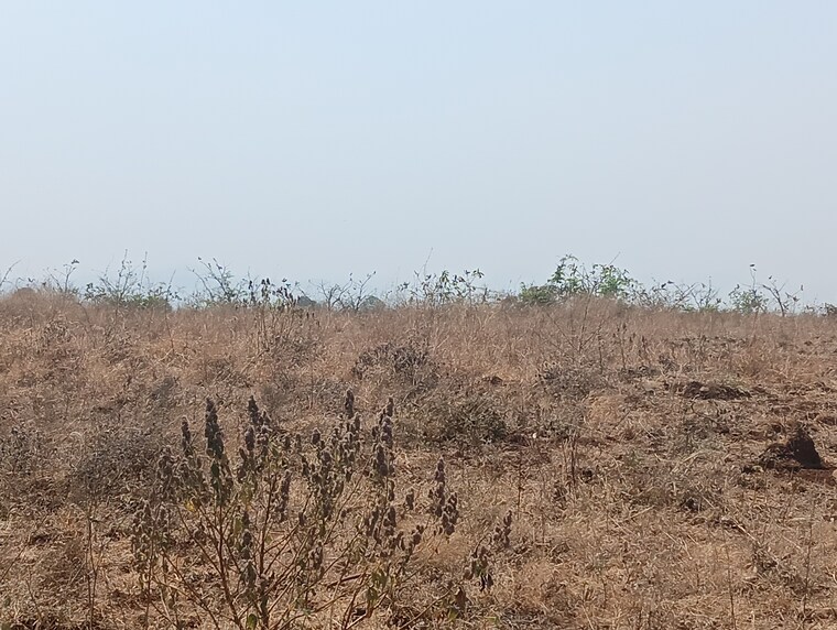 undefined, peth road  15 Acre Plot In Peth Road Nashik 8337669