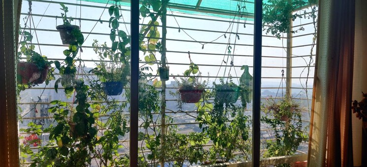 Balcony, sahaj-solarium 2 Bedroom 1215 Sq.Ft. Apartment In Vasna Ahmedabad 8338132