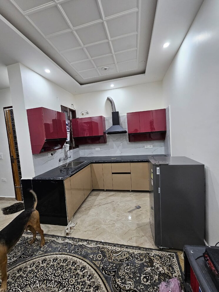 Kitchen, kharar landran road 1 Bedroom 660 Sq.Ft. Apartment In Kharar Landran Road Mohali 8338416