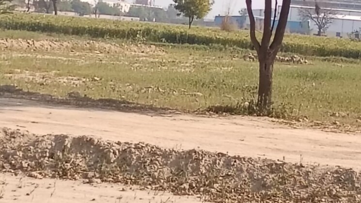 undefined, pirthla  500 Sq.Yd. Plot In Pirthla Palwal 8338621