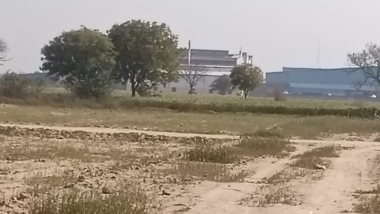 undefined, pirthla  500 Sq.Yd. Plot In Pirthla Palwal 8338621