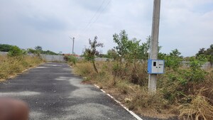 Plot Area in  Plot at Kalapatti – for Sale
