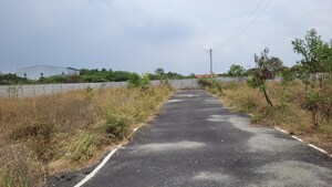  Plot For Sale in Kalapatti