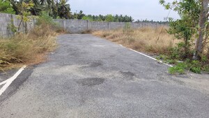 Plot Area in  Plot at Kalapatti – for Sale