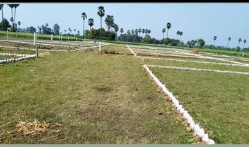 Plot Area in  Plot at Naubatpur – for Sale