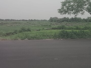 Plot For Resale in Palm Beach Navi Mumbai  8339775