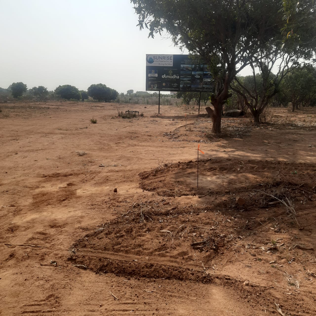 Plot For Sale in Amodha