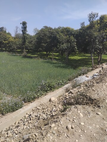  Plot – Exterior View View at Badripur - for Sale