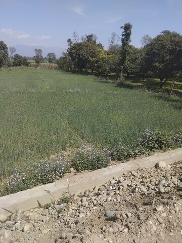 Plot Area in  Plot at Badripur – for Sale