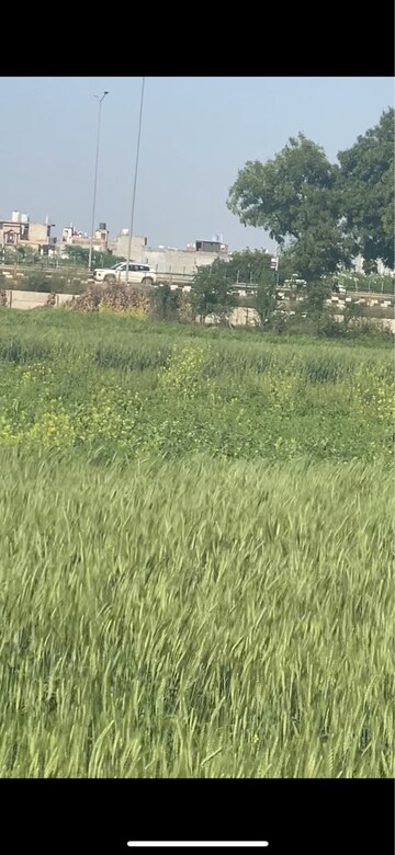 Plot Area in  Plot at Dichaon Kalan – for Sale