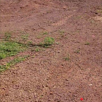 Plot Area in  Plot at Kothur – for Sale