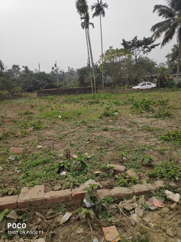 Plot Area in  Plot at Narendrapur – for Sale