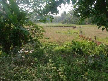 Commercial Land 9720 Sq.Ft. For Resale in Ganganagar Kolkata  8342037