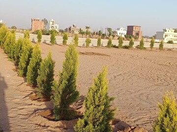  Plot For Sale in Aura Homes, Patiala Road