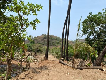 Plot Area in  Plot at Alibag – for Sale