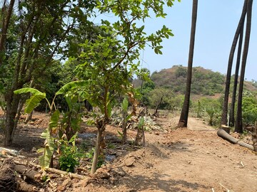 Plot Area in  Plot at Alibag – for Sale