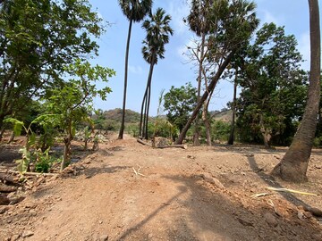 Plot Area in  Plot at Alibag – for Sale