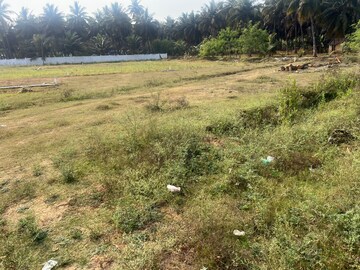 Plot Area in  Plot at Bhogapuram – for Sale