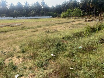 Plot Area in  Plot at Bhogapuram – for Sale
