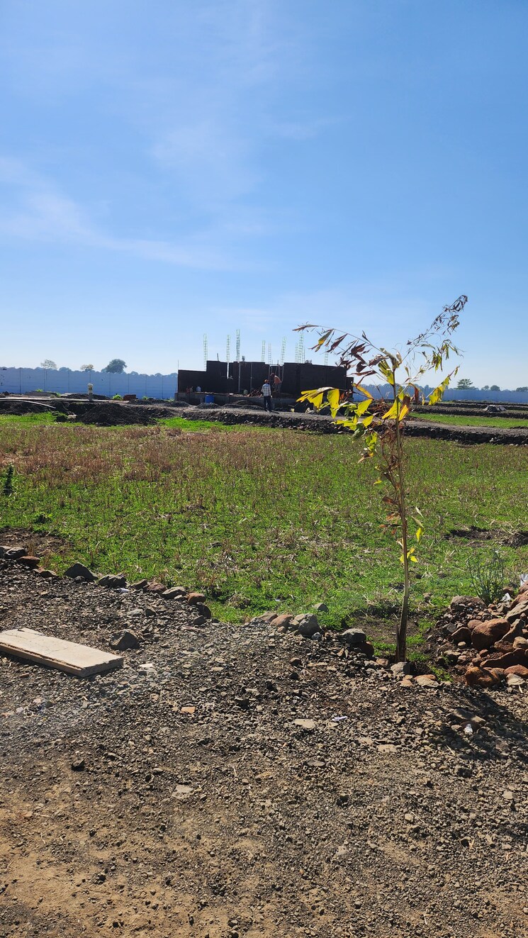 undefined, suhagi  1250 Sq.Ft. Plot In Suhagi Jabalpur 8343152