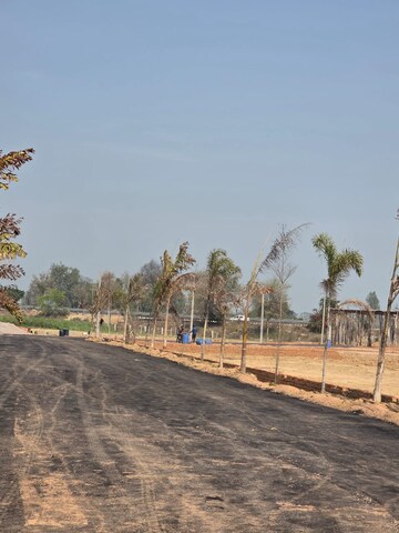 Plot Area in  Plot at Tappal – for Sale