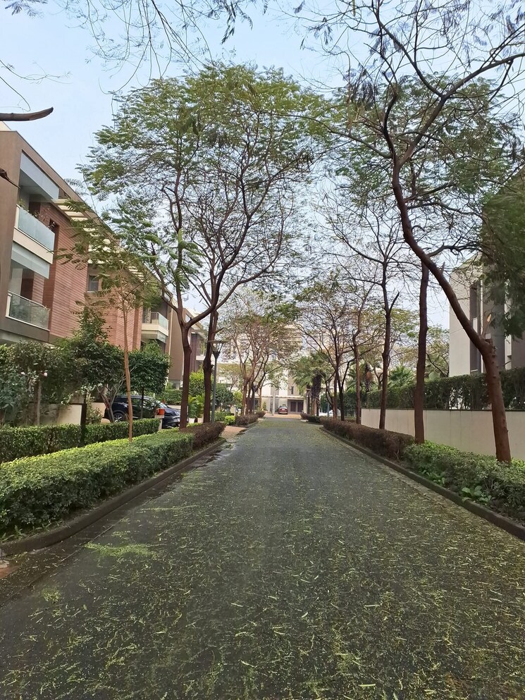 Exterior View, sobha-international-city-presidential-villa 4 Bedroom 270 Sq.Yd. Villa In Sector 109 Gurgaon 8343698