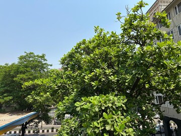 2 BHK Apartment – Garden View at Colaba - for Sale
