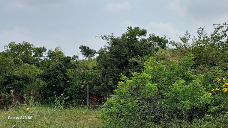 Garden, abids 4 Bedroom 306 Sq.Yd. Independent House In Abids Hyderabad 8344052