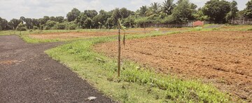 Plot Area in  Plot at Sector 14 – for Sale