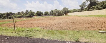 Plot Area in  Plot at Sector 14 – for Sale
