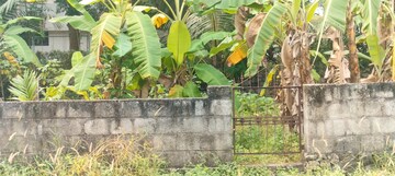 Plot Area in  Plot at Kolazhy – for Sale