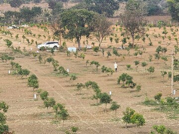 Plot Area in  Plot at Lotus Flora, Begumpet – for Sale