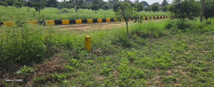 undefined, lotus-flora  605 Sq.Yd. Plot In Begumpet Hyderabad 8344722