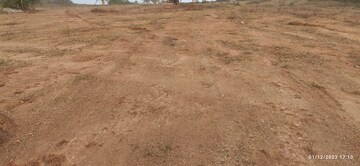 Plot Area in  Plot at Sector 14 – for Sale