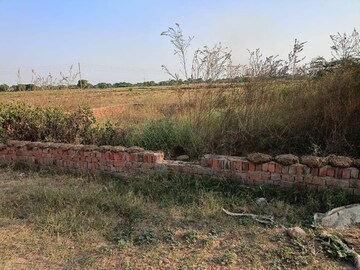 Plot Area in  Plot at Sector 14 – for Sale
