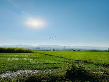 Plot Area in  Plot at Gms Road – for Sale